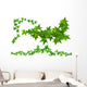 Efeuranke Wall Decal