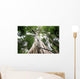 Central rain forest trees Wall Mural