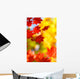 beautiful bright autumn season Wall Mural