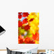 beautiful bright autumn season Wall Mural