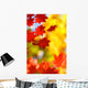 beautiful bright autumn season Wall Mural