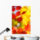 beautiful bright autumn season Wall Mural