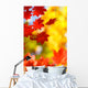beautiful bright autumn season Wall Mural