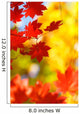 beautiful bright autumn season Wall Mural