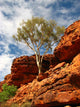Outback Australia