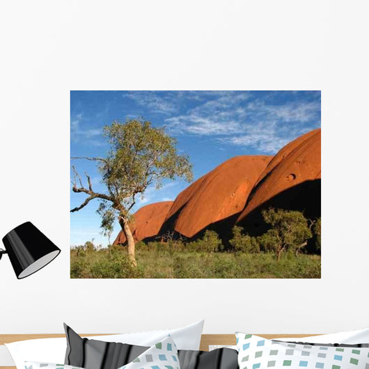 Outback Australia Wall Decal