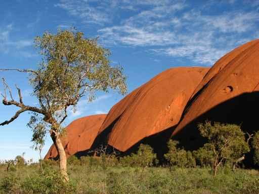 Outback Australia Wall Decal