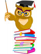 Wise Teacher Owl Wall Decal