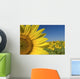 Sunflower Fields Wall Mural