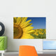Sunflower Fields Wall Mural