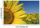 Sunflower Fields Wall Mural