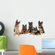Group German Shepherd Dogs Wall Mural