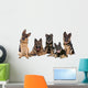 Group German Shepherd Dogs Wall Mural