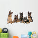 Group German Shepherd Dogs Wall Mural
