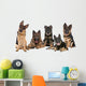 Group German Shepherd Dogs Wall Mural