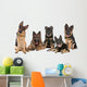 Group German Shepherd Dogs Wall Mural