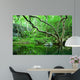 forest Wall Mural