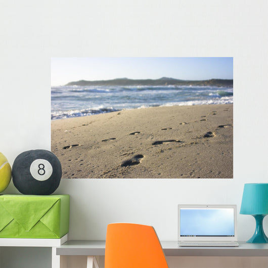 Footprints in Sand Wall Mural