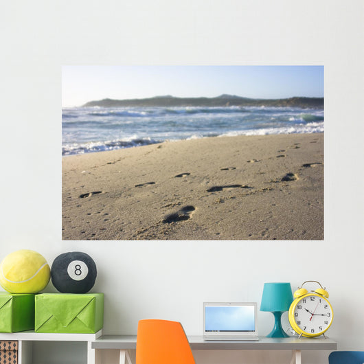 Footprints in Sand Wall Mural