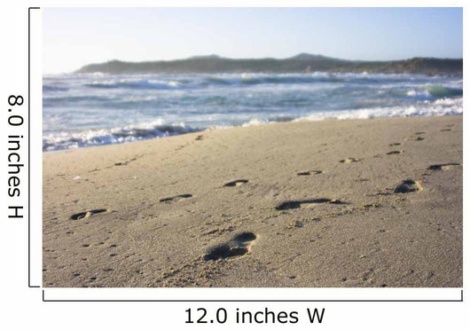 Footprints in Sand Wall Mural