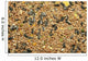Mixed Bird Seed Wall Mural