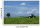 One Tree Green Soy