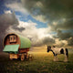 Old Gypsy Caravan Wall Decal