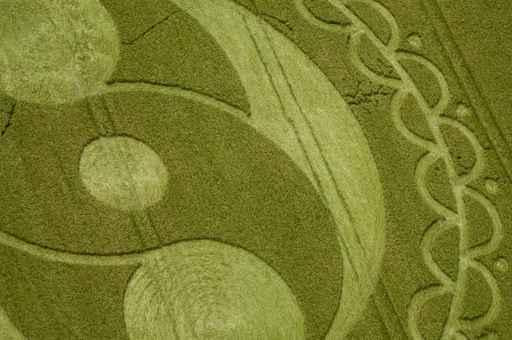 Detail Crop Circle Vu Wall Decal