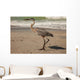 Great Blue Heron Wall Mural
