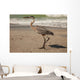 Great Blue Heron Wall Mural
