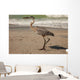 Great Blue Heron Wall Mural