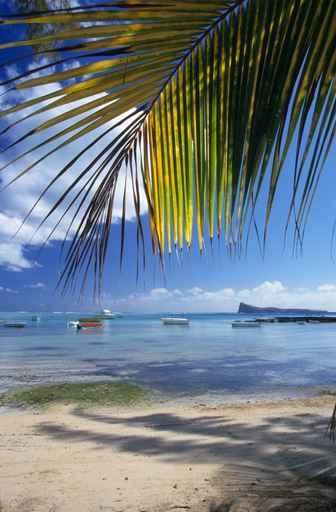 Beach Cape Malheureux Mauritius Wall Decal
