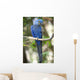 Hyacinth Macaw Playing Tree