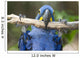Hyacinth Macaw Playing in Tree Pantanal Brazil Wall Mural