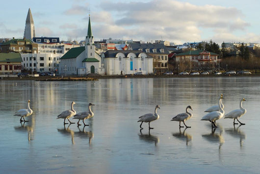 Reykjavik Wall Mural