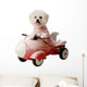 Fifi Bichon Frise Loves Wall Decal