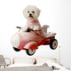 Fifi Bichon Frise Loves Wall Decal