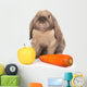 Dwarf Rabbit with Carrots Wall Mural
