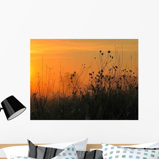 Sunrise Wall Decal Design 5