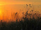 Sunrise Wall Decal Design 5