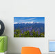 Hurricane Ridge Wall Mural