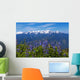 Hurricane Ridge Wall Mural