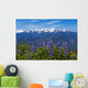 Hurricane Ridge Wall Mural