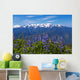 Hurricane Ridge Wall Mural