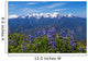 Hurricane Ridge Wall Mural