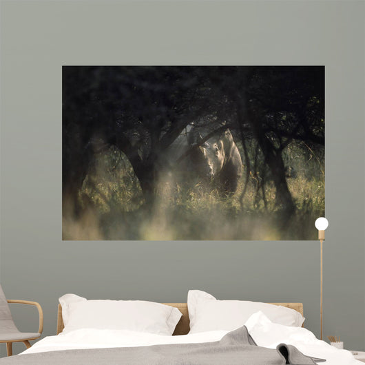 View of a white rhinoceros (Ceratotherium simum)  Wall Mural