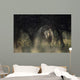 View of a white rhinoceros (Ceratotherium simum)  Wall Mural