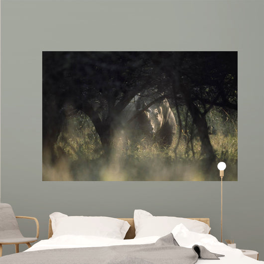 View of a white rhinoceros (Ceratotherium simum)  Wall Mural
