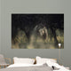 View of a white rhinoceros (Ceratotherium simum)  Wall Mural