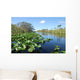 Everglades Wall Decal